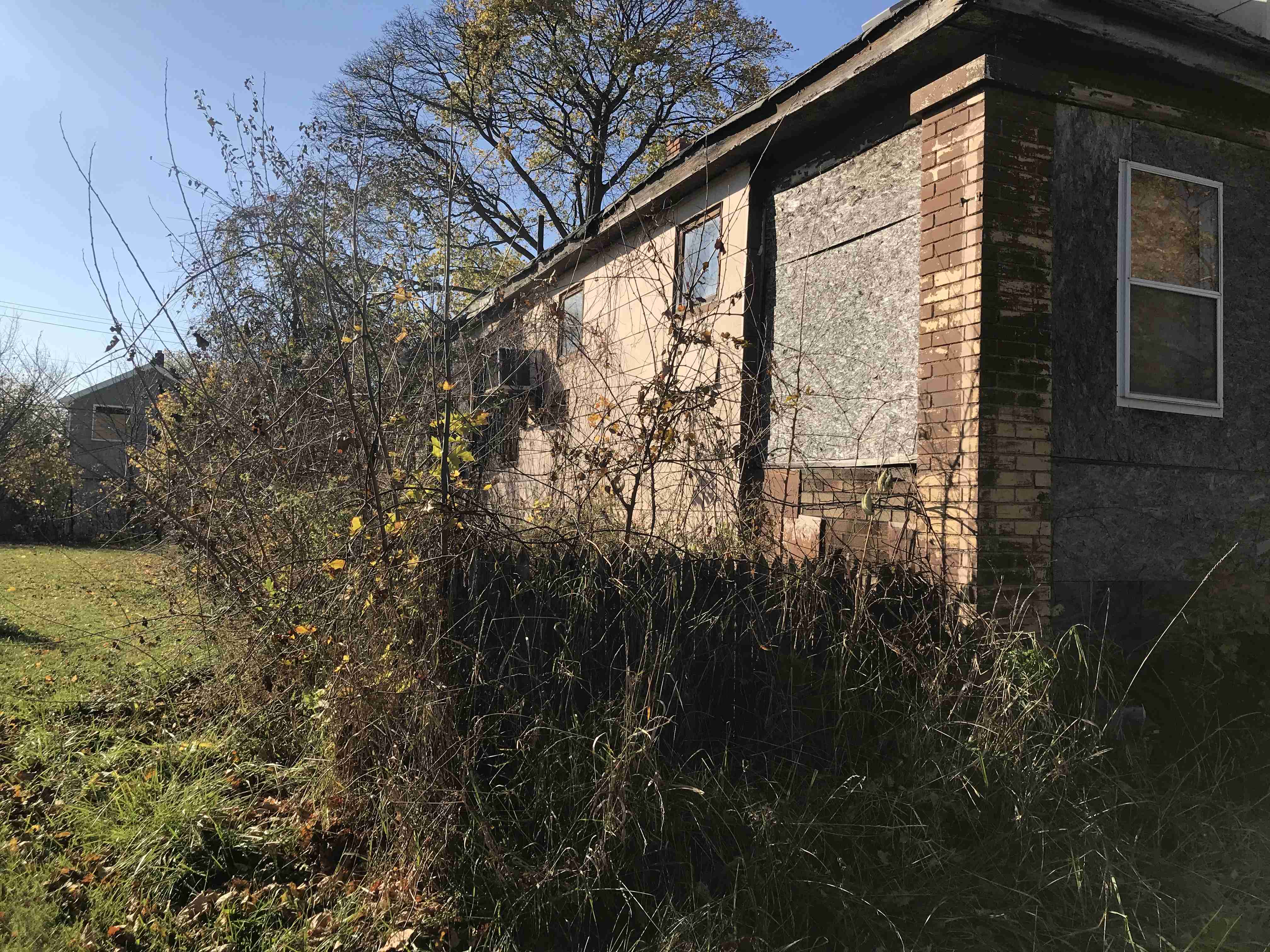 Photo Nov 03, 2 07 40 PM.jpg